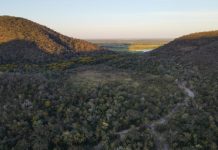 Para preservar o Pantanal, podutores rurais têm ações de conservação remuneradas por programa do Governo de MS Category Template - London News PRO