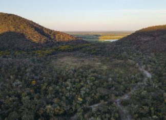 Para preservar o Pantanal, podutores rurais têm ações de conservação remuneradas por programa do Governo de MS Home