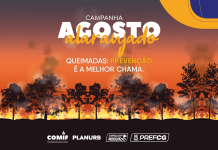 Agosto Alaranjado mobiliza combate às queimadas urbanas Category Template - London News PRO