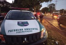 Descarte irregular de resíduos pode virar crime ambiental Category Template - London News PRO