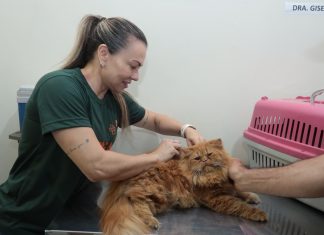 Consultório da Subea leva atendimento ao Jardim Carioca Home