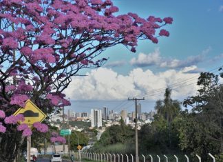 Semana tem avanços em habitação, obras e mobilidade Home