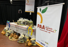 Programa de alimentos abre cadastro para projetos sociais Category Template - London News PRO