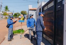 Vacinação domiciliar reforça barreira contra a raiva Category Template - London News PRO