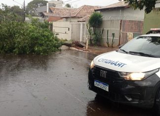 Alerta amarelo prevê tempestade em Campo Grande Home