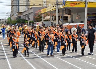 Tradicional desfile de aniversário, 61 entidades na capital Home