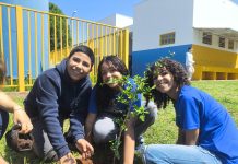 Plantio de árvores aproxima estudantes da natureza Category Template - London News PRO