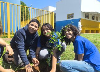 Plantio de árvores aproxima estudantes da natureza Home