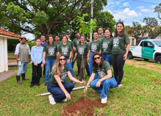 Plantio no Parque Municipal Água Limpa abre caminho para novo ponto de observação de aves Home
