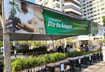 Capital celebra Semana da Árvore com a distribuição de 10 mil mudas Category Template - London News PRO