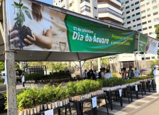 Capital celebra Semana da Árvore com a distribuição de 10 mil mudas Home