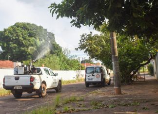 Fumacê percorre região do Panamá nesta quarta-feira (23) Home