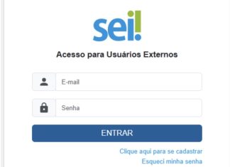 Integração ao gov.br agiliza acesso ao SEI na Capital Home