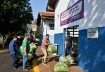 Edital convoca agricultores para fornecer hortifruti ao PAA Category Template - London News PRO