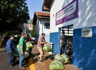 Edital convoca agricultores para fornecer hortifruti ao PAA Home