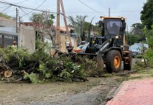 Força Tarefa de Atendimento Emergencial mobiliza mais de 35 equipes em Campo Grande desde a semana passada Category Template - London News PRO