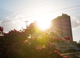 Com risco de altas temperaturas, Defesa Civil emite alerta vermelho Home