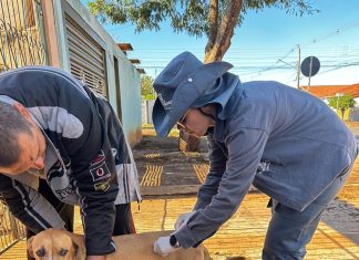 Campo Grande terá vacinação contra a raiva neste fim de semana Home