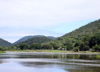 Com chuva e temperatura acima da média, El Niño pode causar onda de calor em MS Home