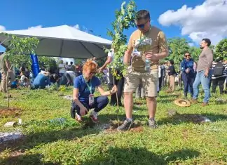 População participa e dá vida ao Bosque da COP15 Home