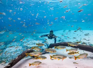 Turismo de MS reforça protagonismo e é destaque nacional em três diferentes prêmios em março Home