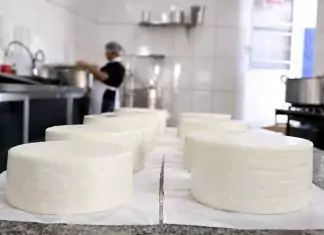 Produção é intensificada para 9ª Festa do Queijo Home