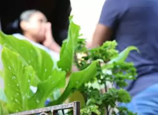 Filhos de vítimas de feminicídio em Mato Grosso do Sul recebem benefícios sociais Home