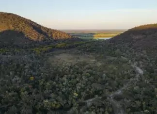Para preservar o Pantanal, podutores rurais têm ações de conservação remuneradas por programa do Governo de MS Home