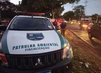 Descarte irregular de resíduos pode virar crime ambiental Home