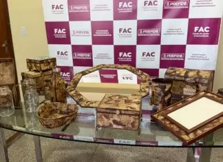 Todos em Ação: Oficina gratuita transforma filtro de café em artesanato Home