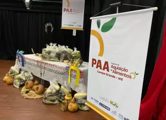 Programa de alimentos abre cadastro para projetos sociais Home