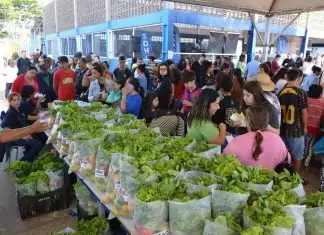Mutirão Todos em Ação chega ao Oliveira II Home