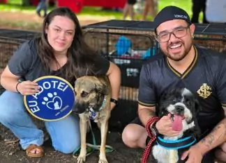 Adoção: Praça Bolívia sedia feira de cães neste domingo Home