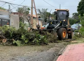 Força Tarefa de Atendimento Emergencial mobiliza mais de 35 equipes em Campo Grande desde a semana passada Home