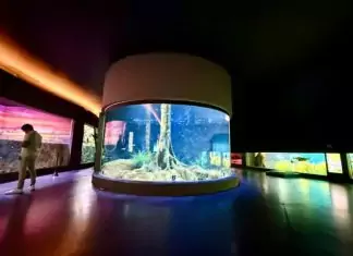Bioparque Pantanal terá horário especial nesta sexta-feira devido Dia do Servidor Público Home